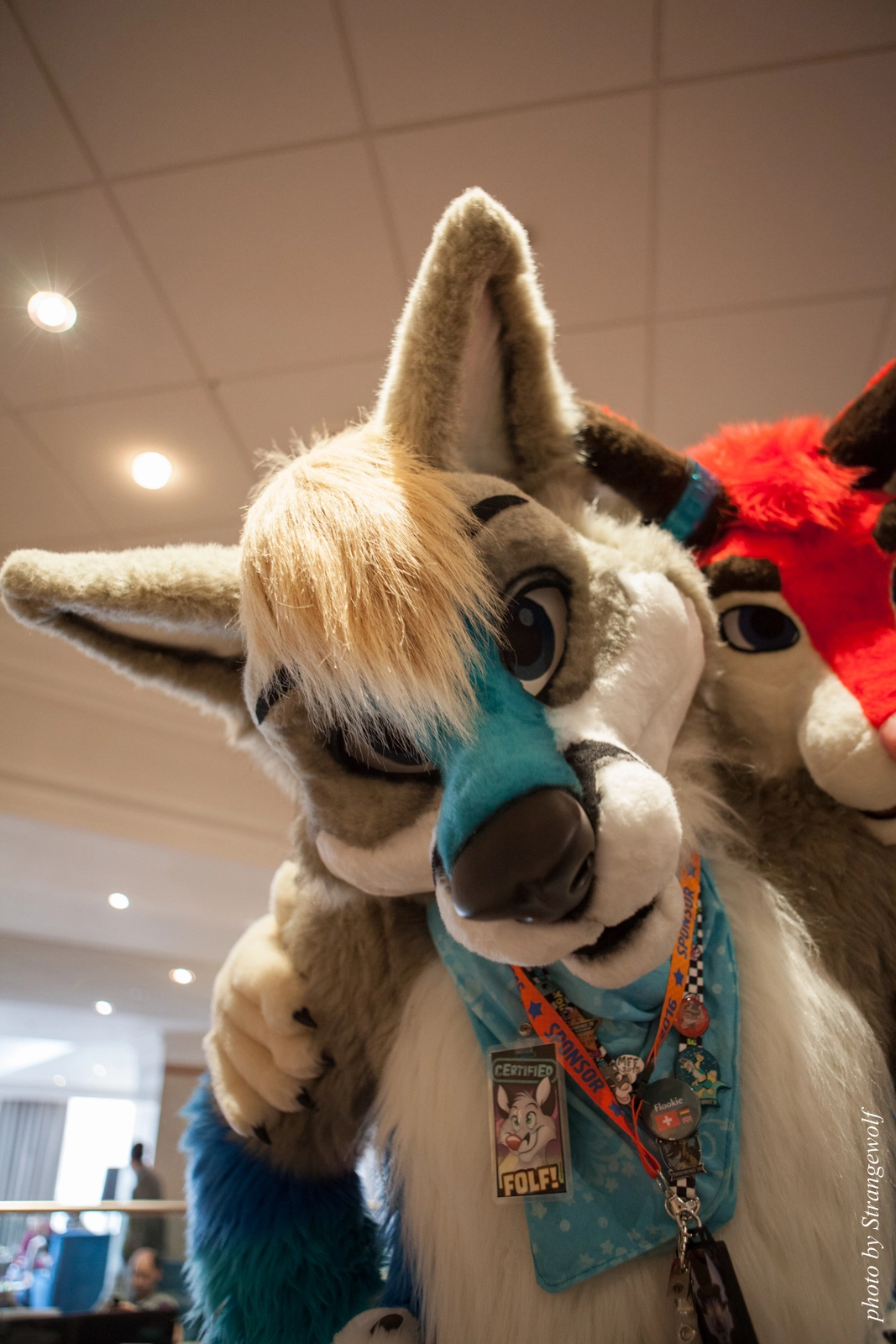 full image IMG_7402-lr16t.jpg