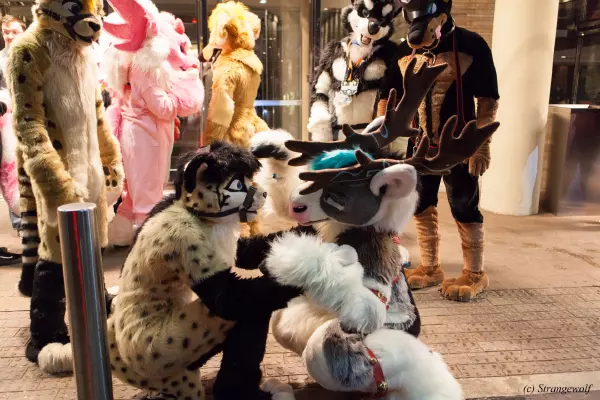IMG_6879-lr19t.jpg of MFF/MFF2018/