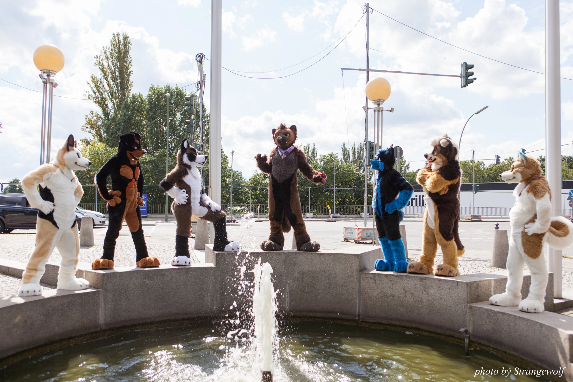 full image IMG_7163-lr19t.jpg