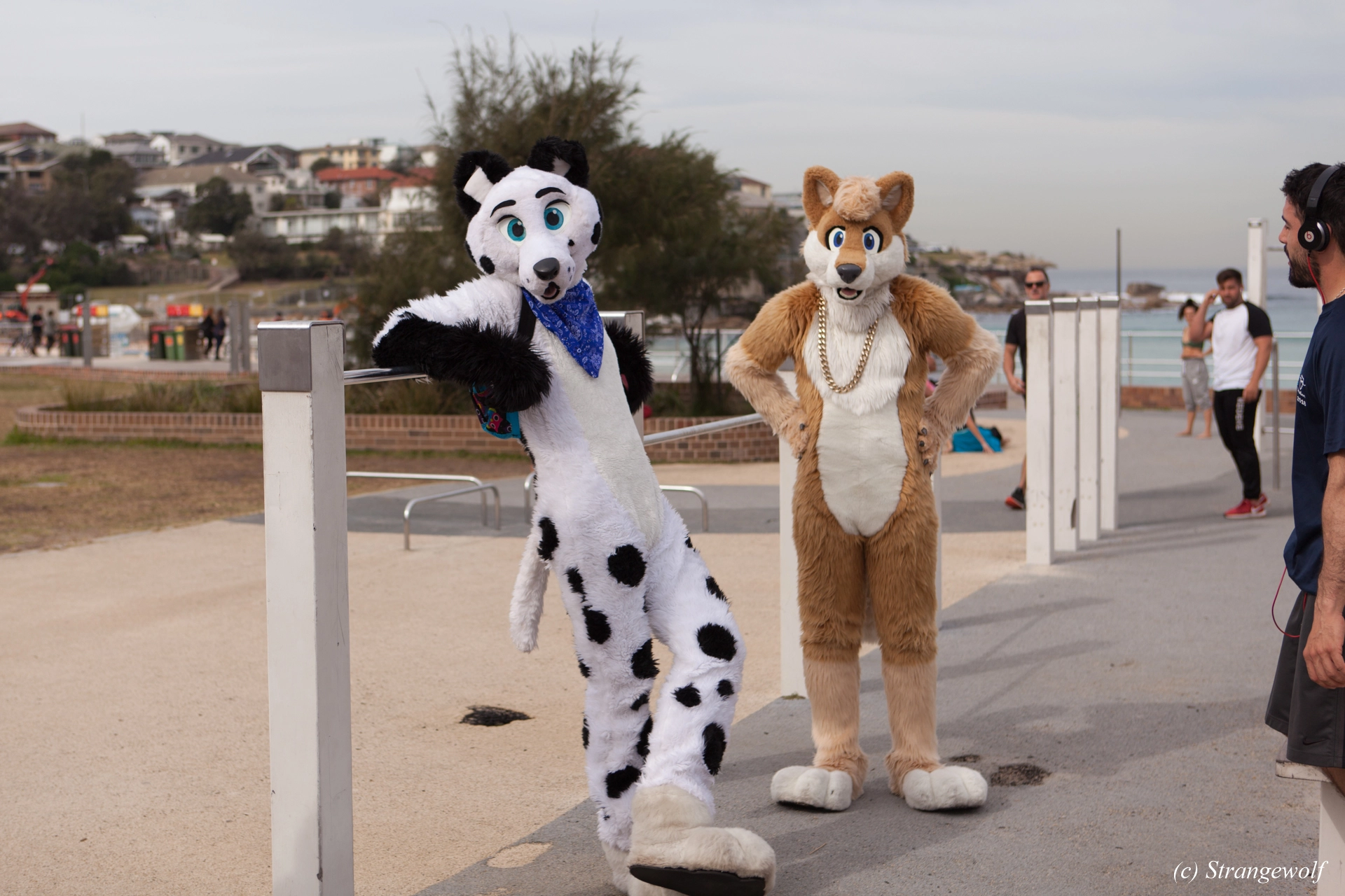 full image IMG_4401-lr19t.jpg