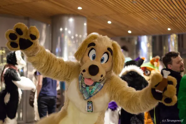 IMG_9392-lr19t.jpg of NFC/NFC2019/