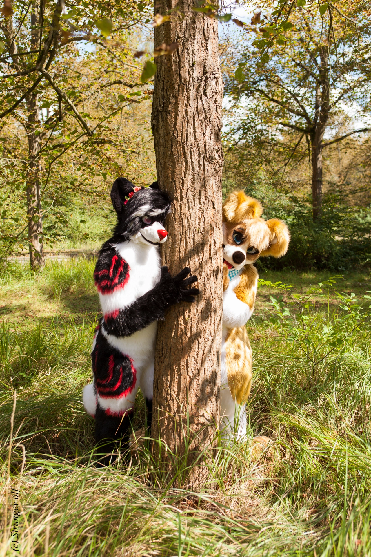 full image IMG_6252-lr19t.jpg