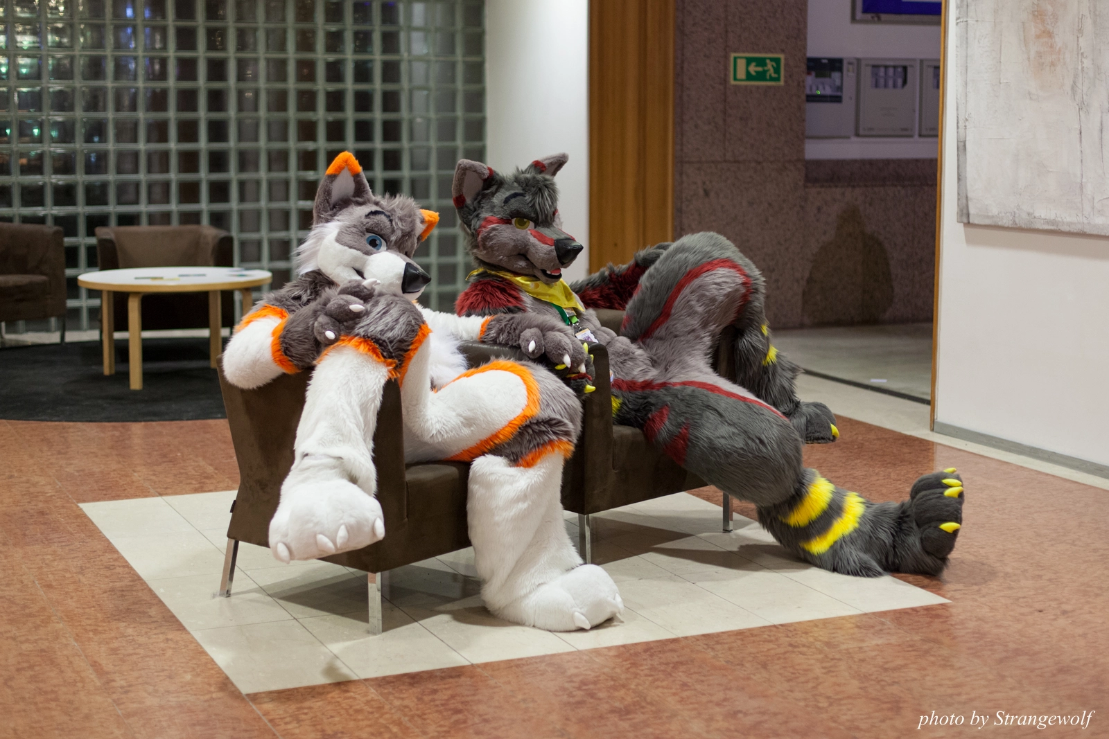 full image IMG_1629-lr16t.jpg