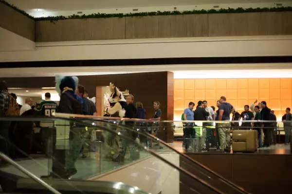 IMG_8023-lr19t.jpg of MFF/MFF2017/