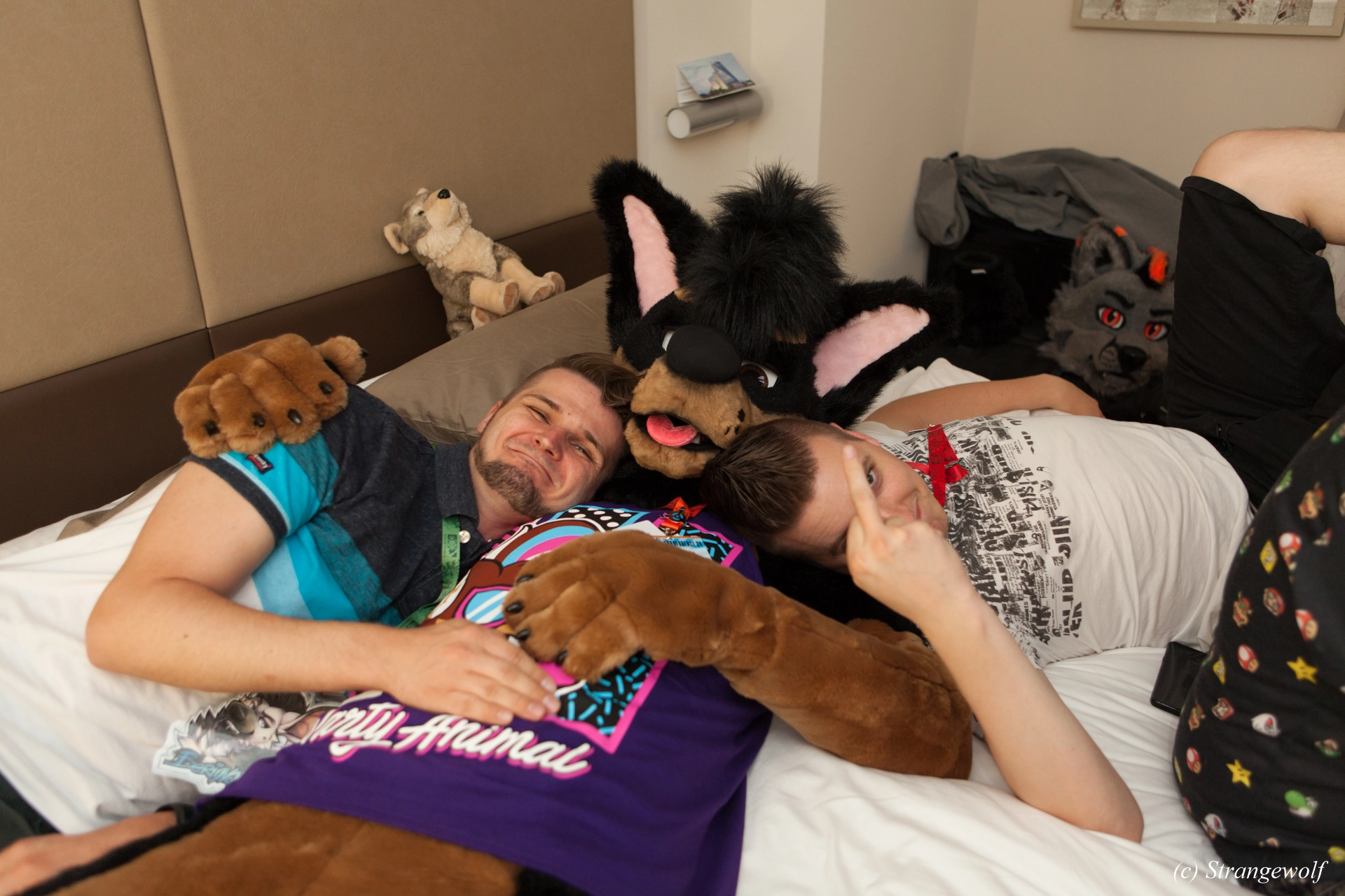 full image IMG_4789-lr19t.jpg