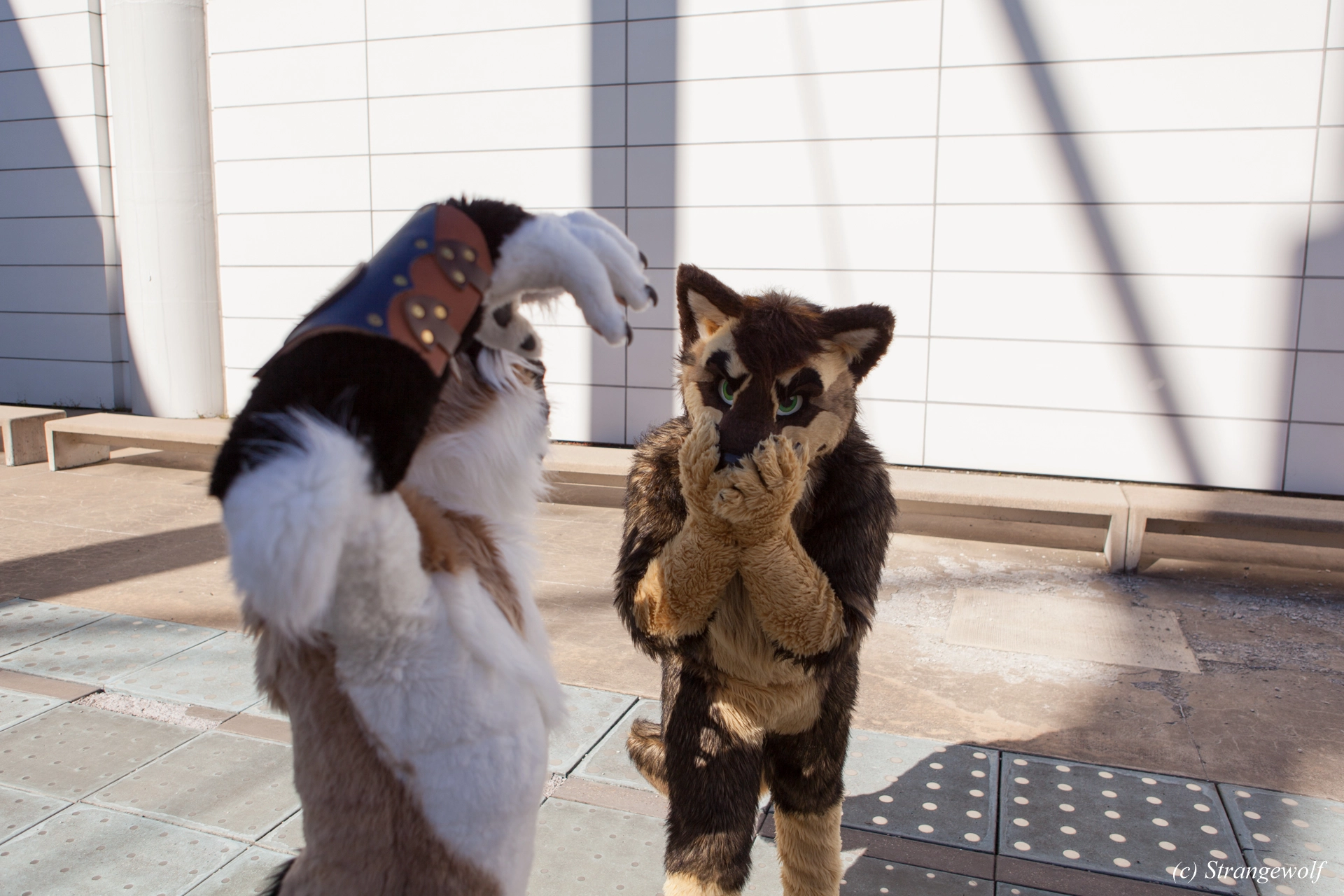 full image IMG_4205-lr19t.jpg