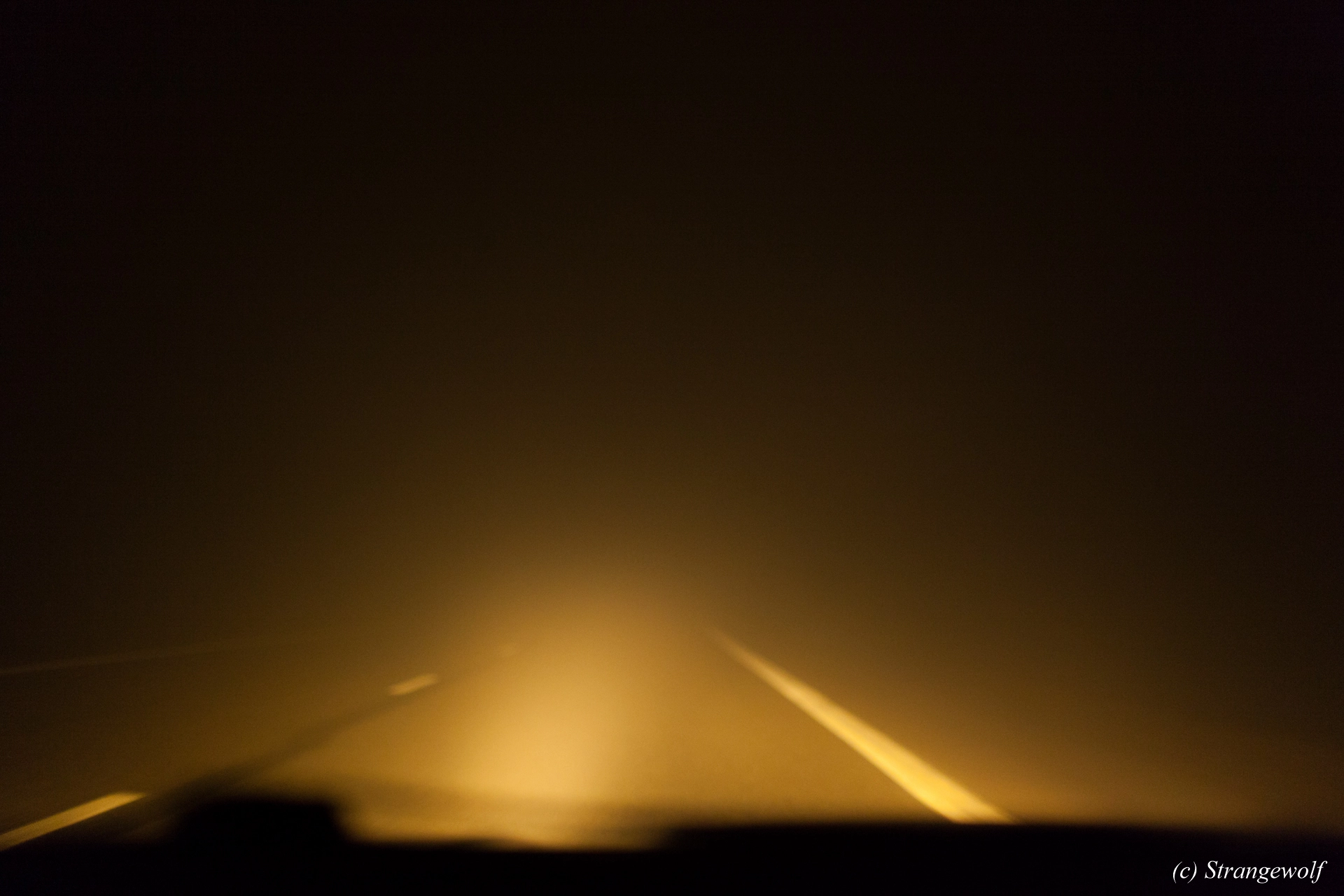 full image IMG_8523-lr19t.jpg