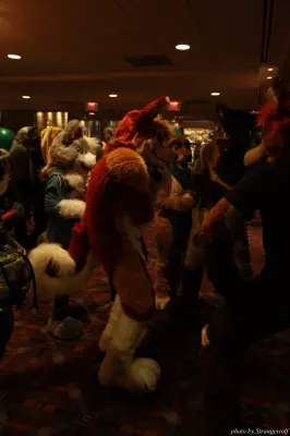 IMG_1141-lr.jpg of MFF/MFF2013/
