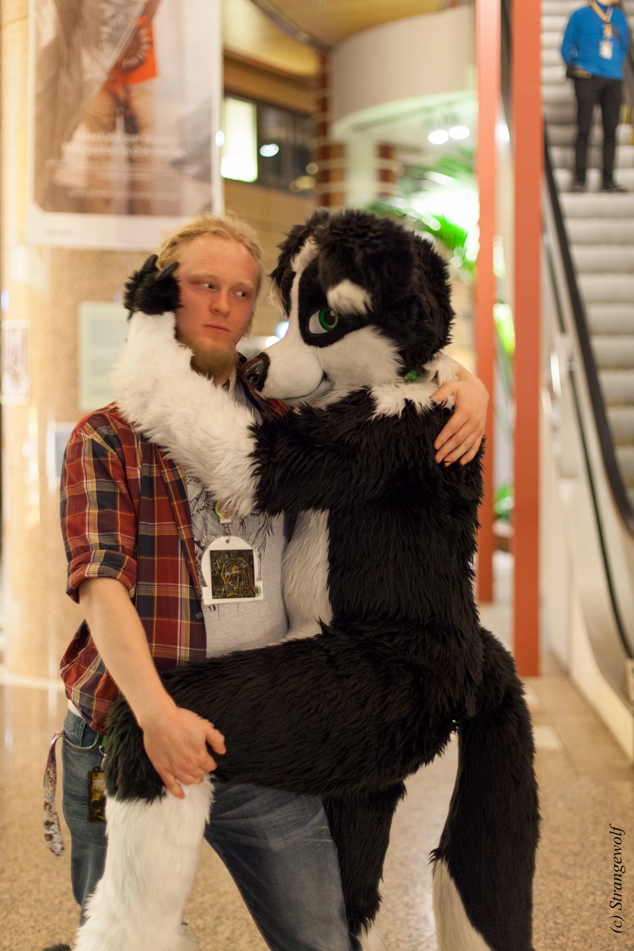 full image IMG_9457-lr19t.jpg