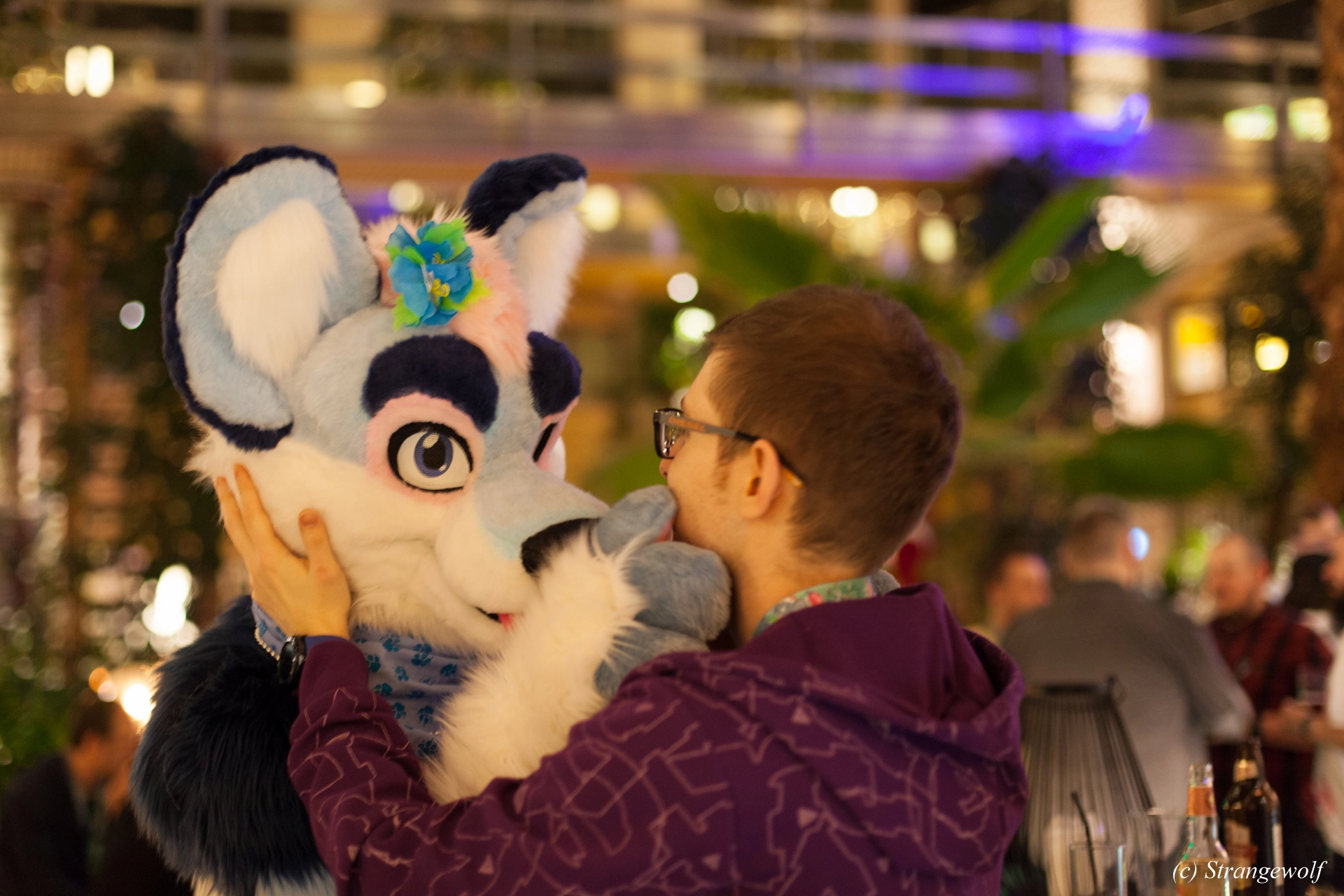 full image IMG_9698-lr19t.jpg