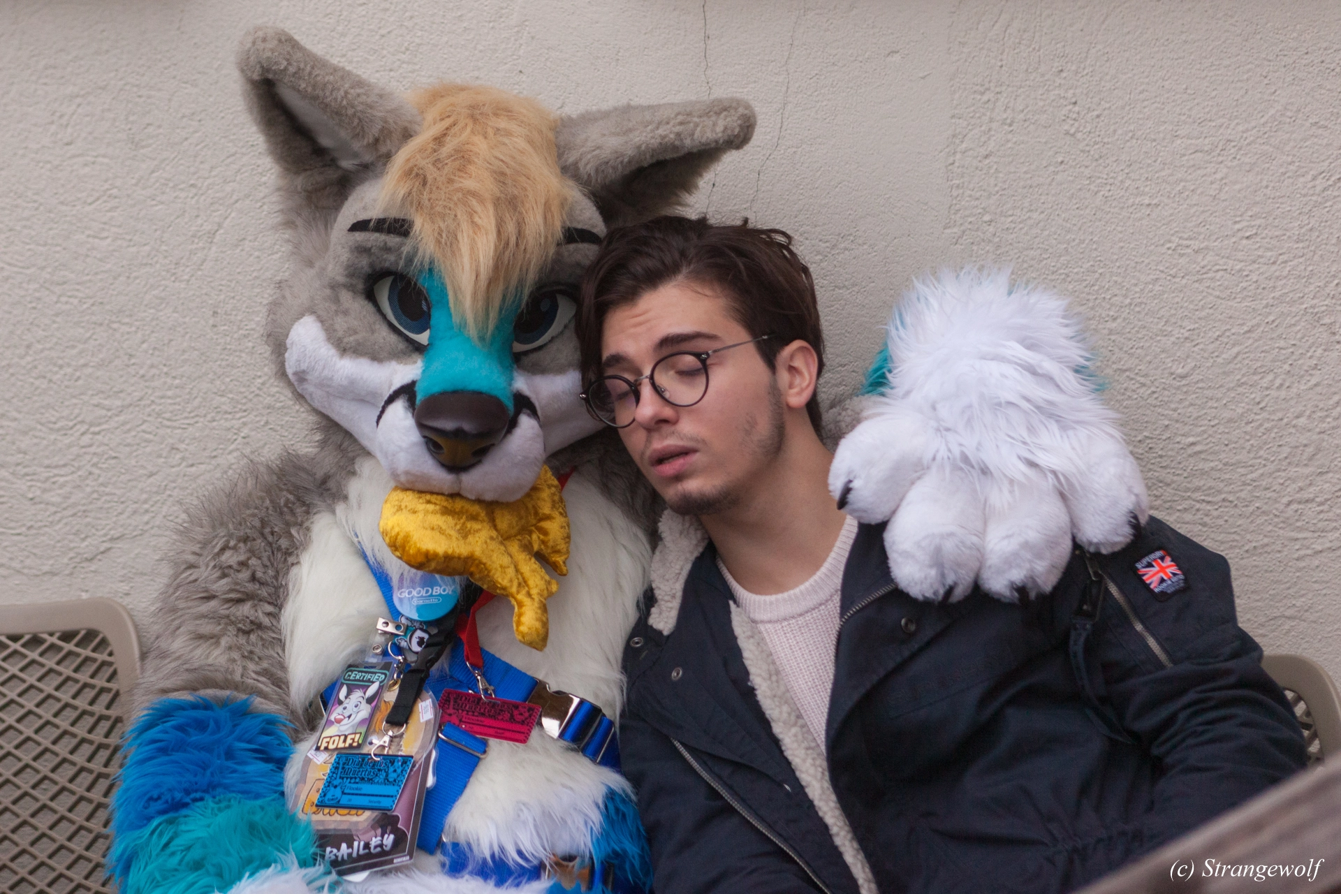 full image IMG_7008-lr19t.jpg