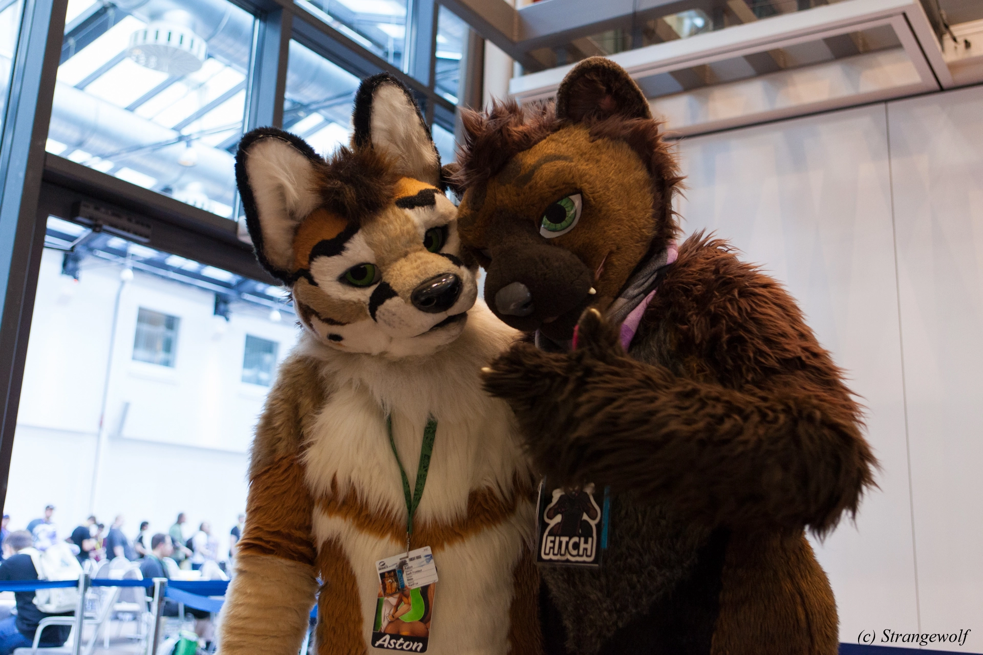 full image IMG_4989-lr19t.jpg