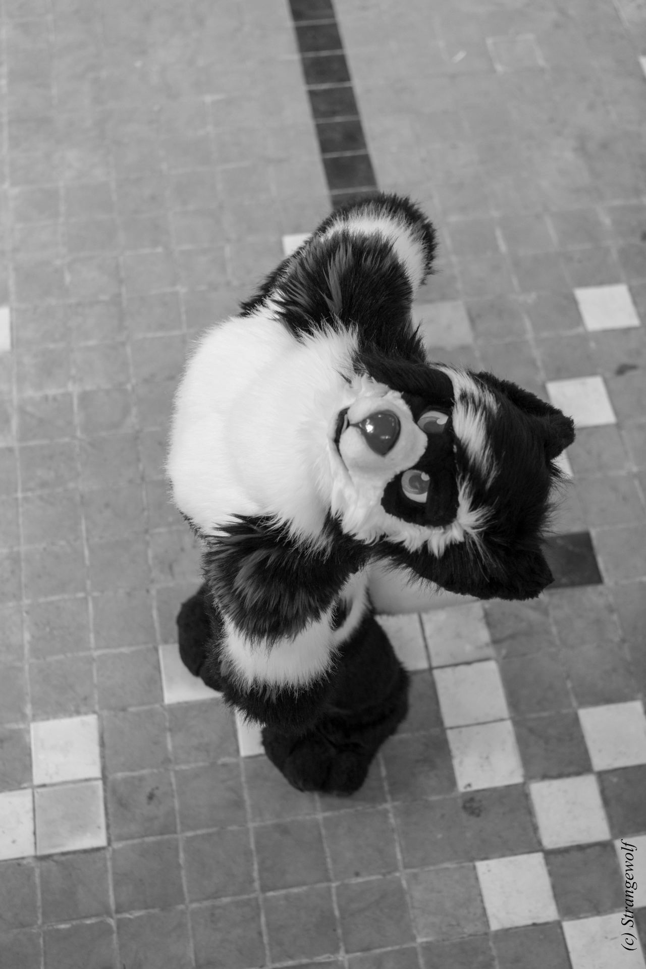 full image IMG_6110-lr19t.jpg