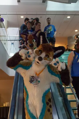 IMG_4131-lr16t.jpg of MFF/MFF2015/