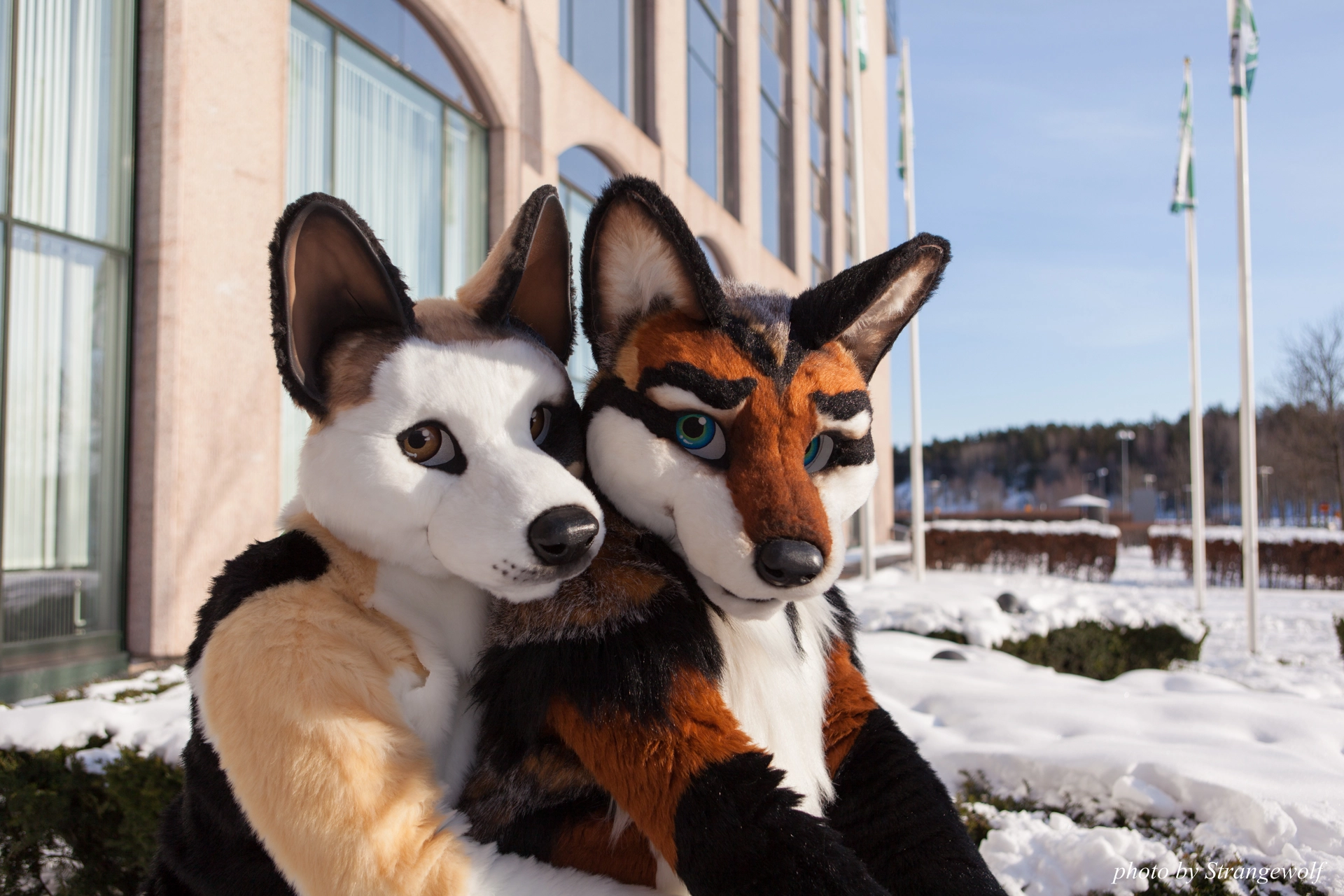 full image IMG_0084-lr19t.jpg