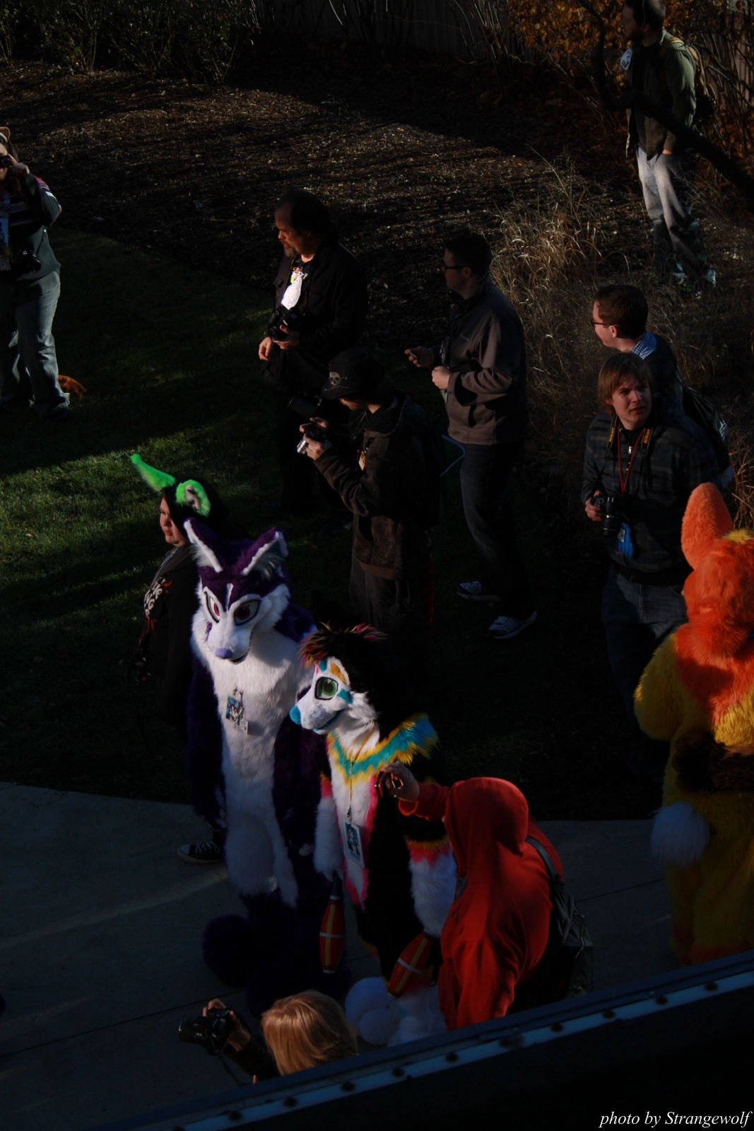 full image IMG_0642-lr.jpg