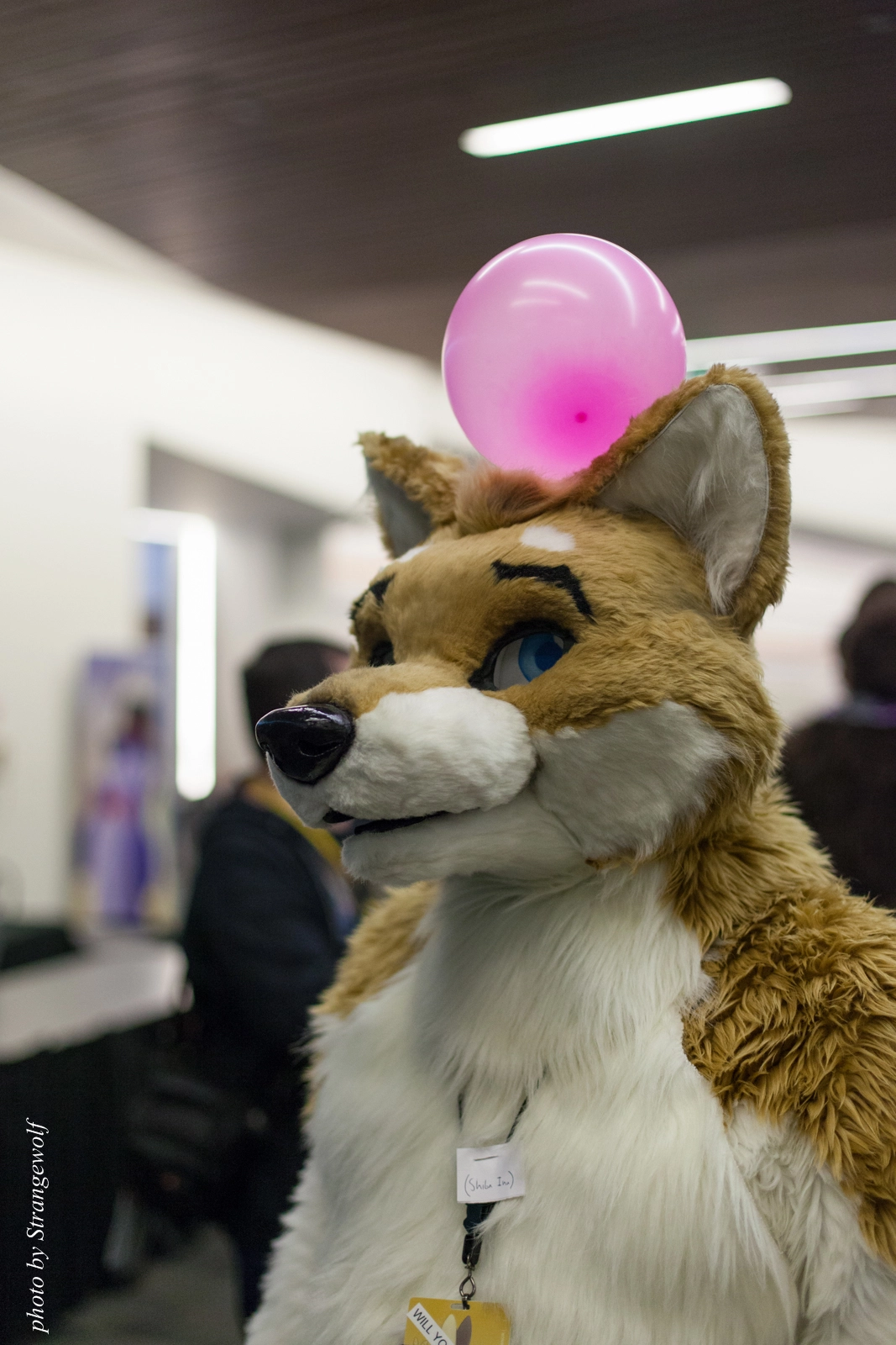 full image IMG_1198-lr16t.jpg