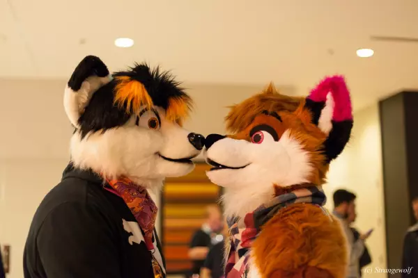 IMG_8020-lr19t.jpg of MFF/MFF2018/