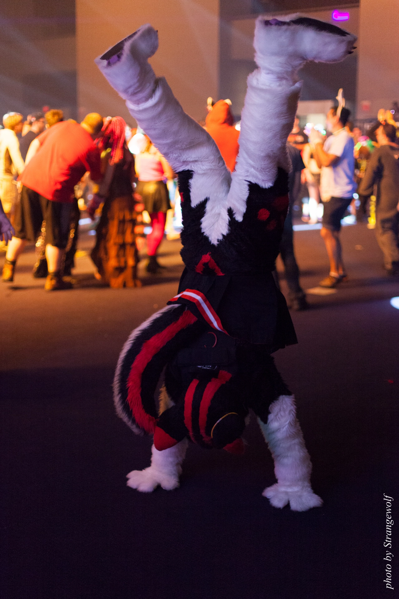 full image IMG_0609-lr19t.jpg