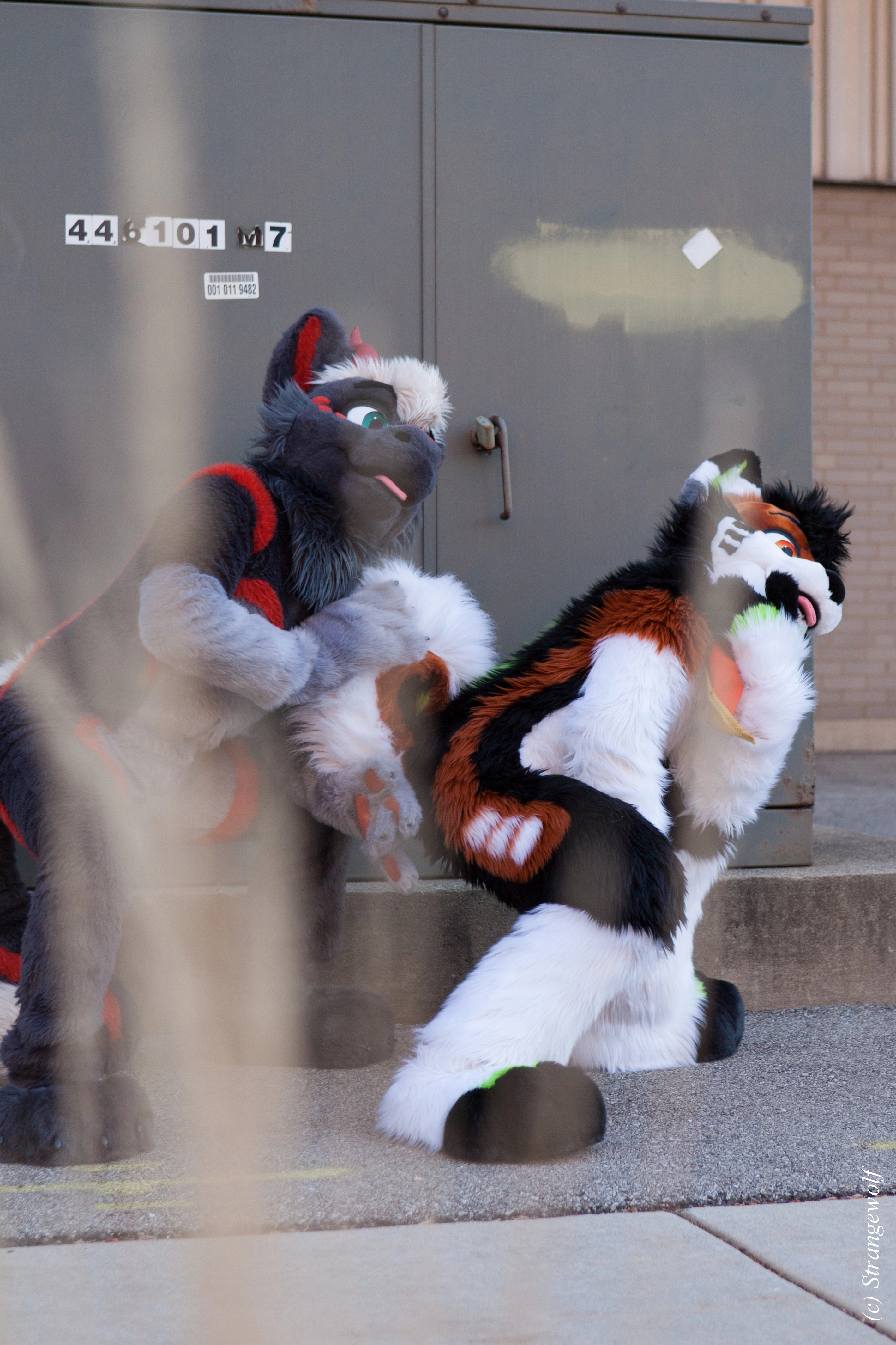 full image IMG_0973-lr.jpg