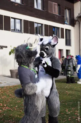 IMG_7809-lr19t.jpg of GLC/GLC2017/