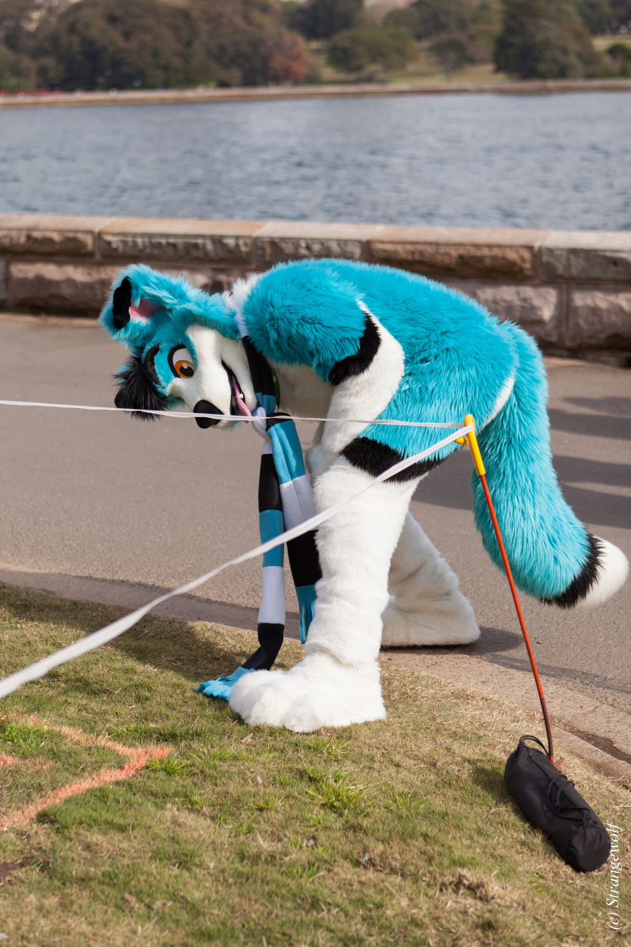 full image IMG_4350-lr19t.jpg