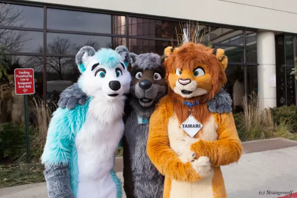 IMG_8351-lr19t.jpg of MFF/MFF2017/