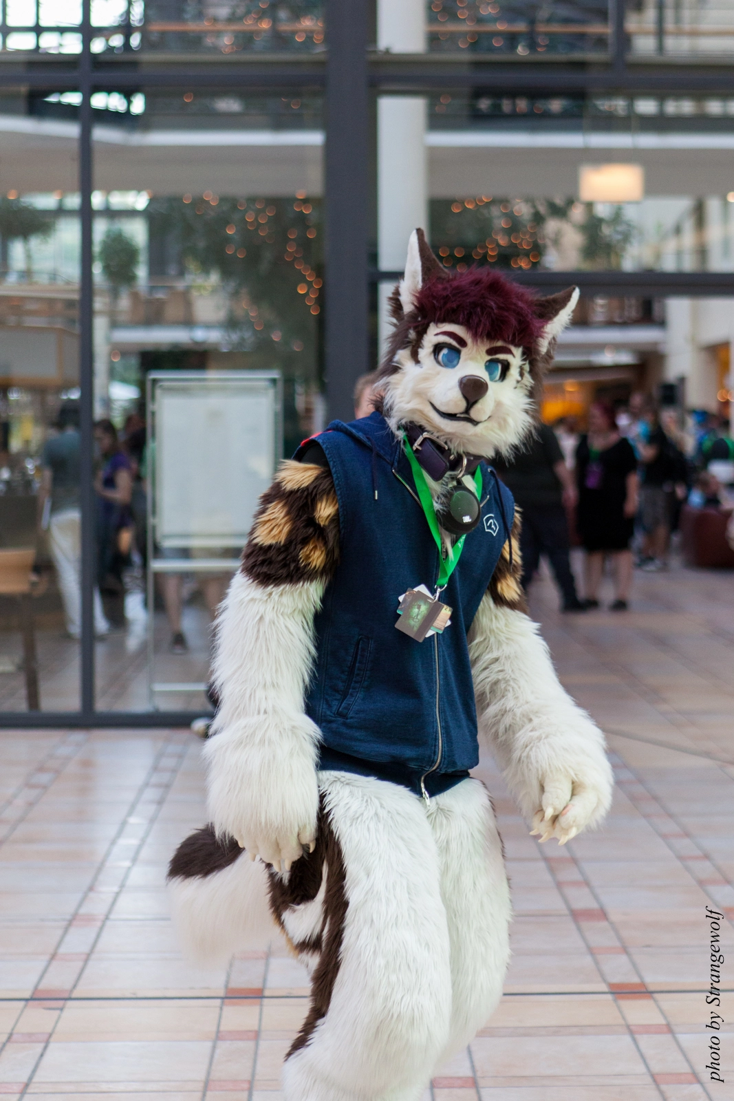 full image IMG_2137-lr16t.jpg