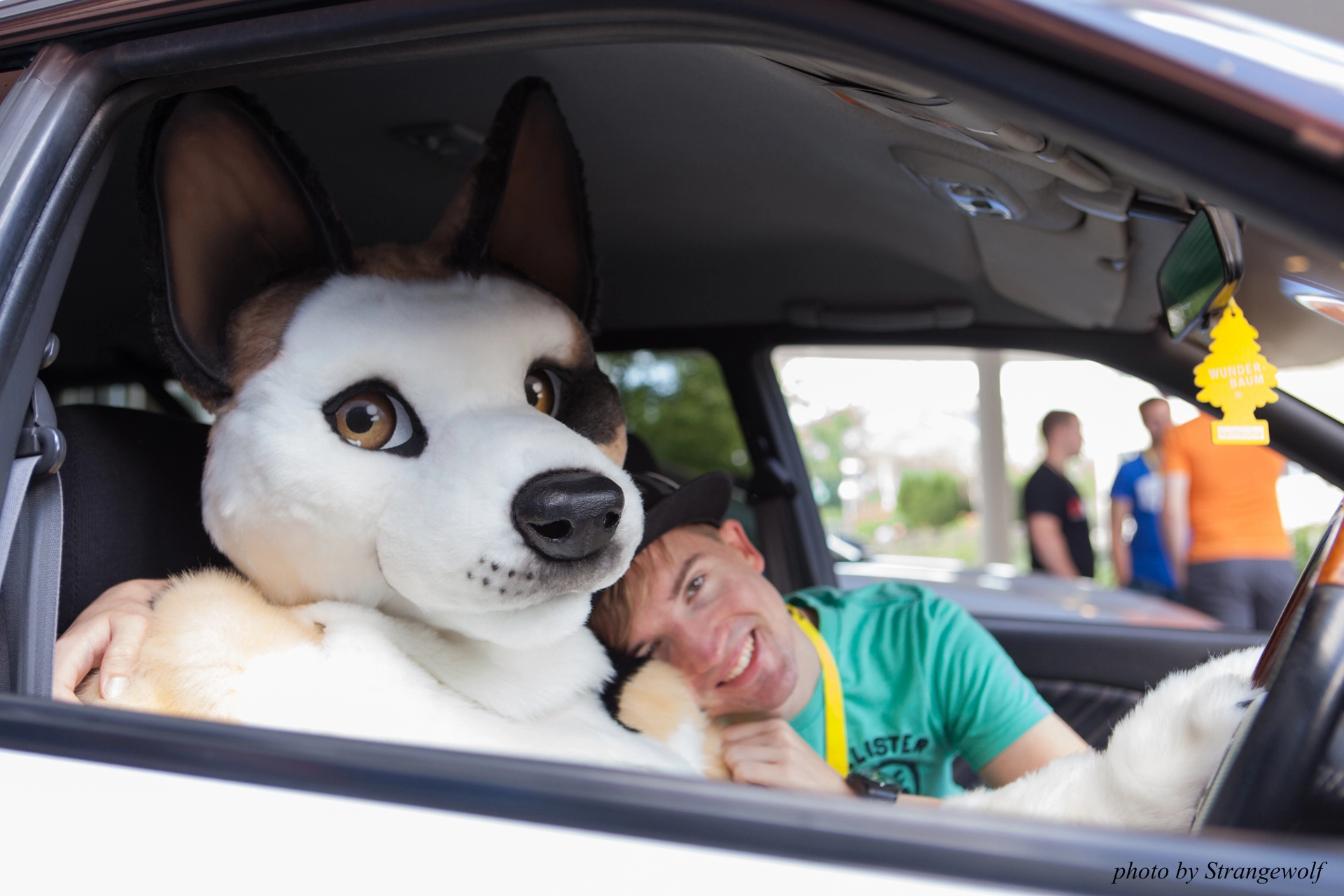 full image IMG_6852-lr19t.jpg