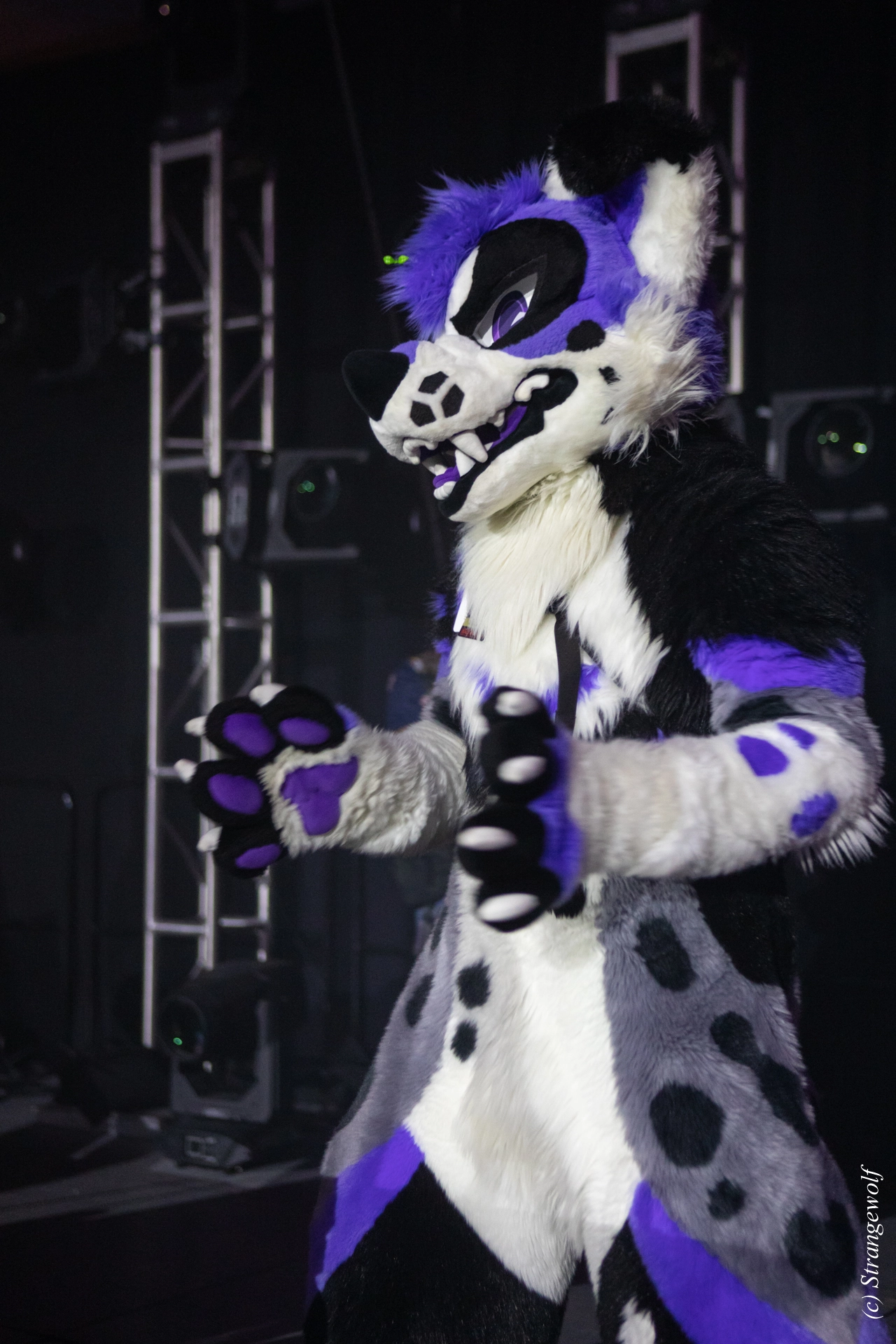 full image 1R3A0860-lr19t.jpg