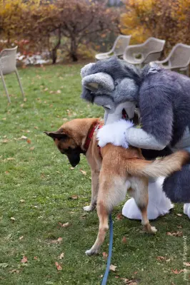 IMG_7979-lr19t.jpg of GLC/GLC2017/