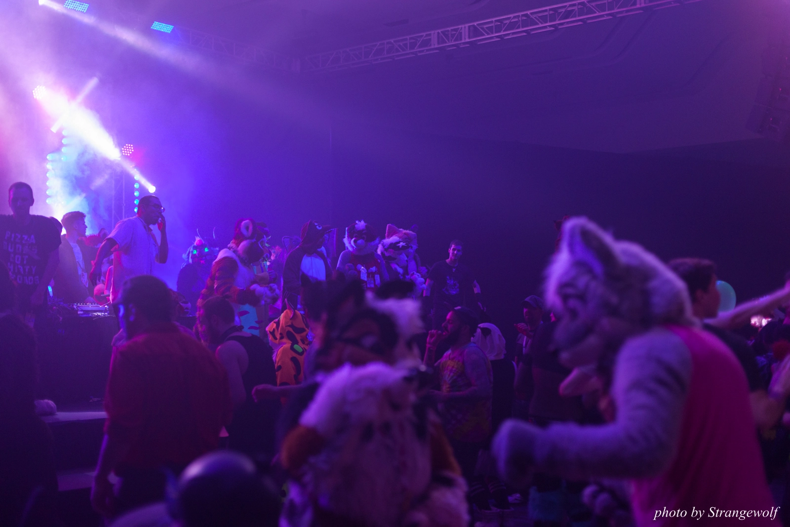 full image IMG_1213-lr16t.jpg