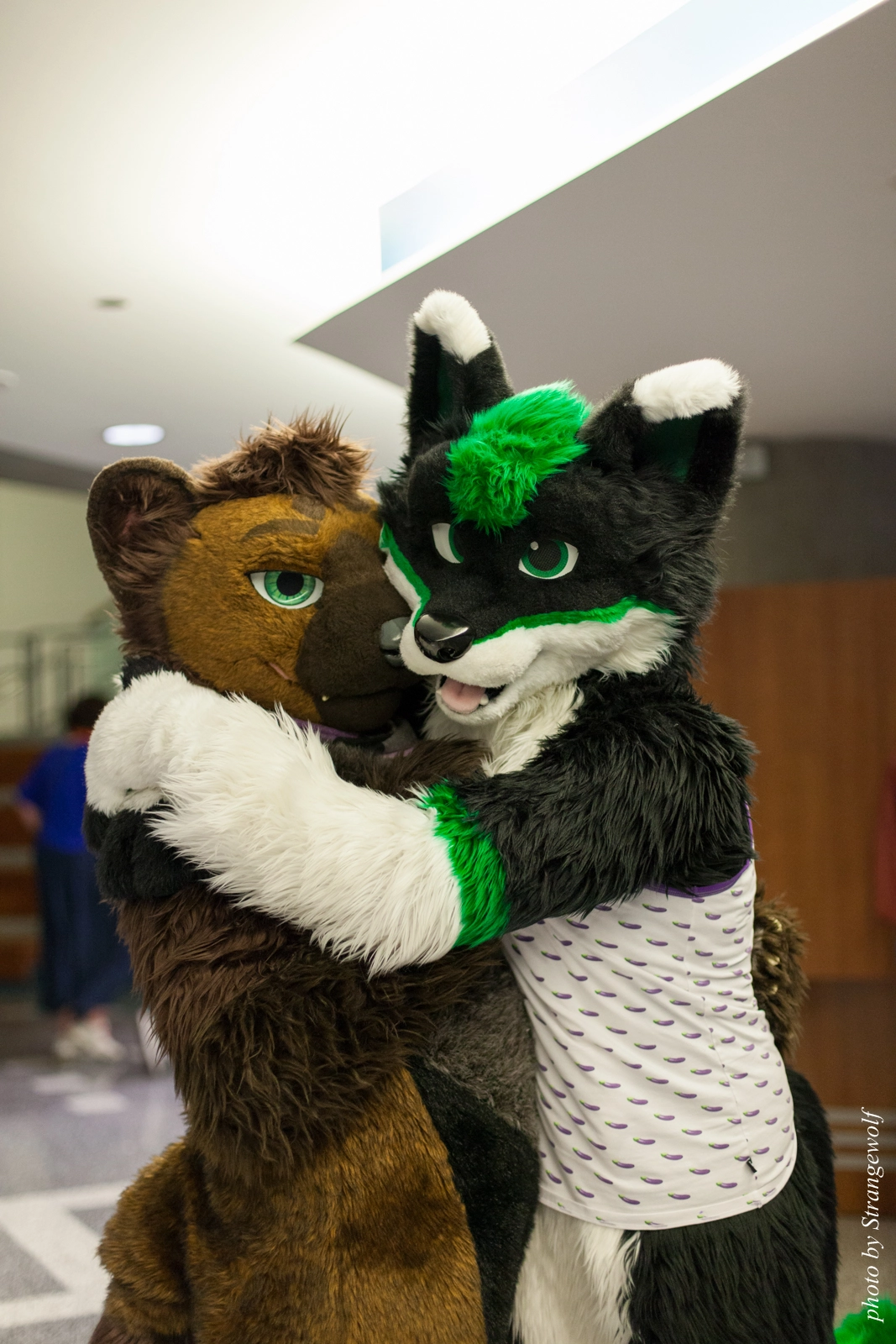 full image IMG_1165-lr16t.jpg