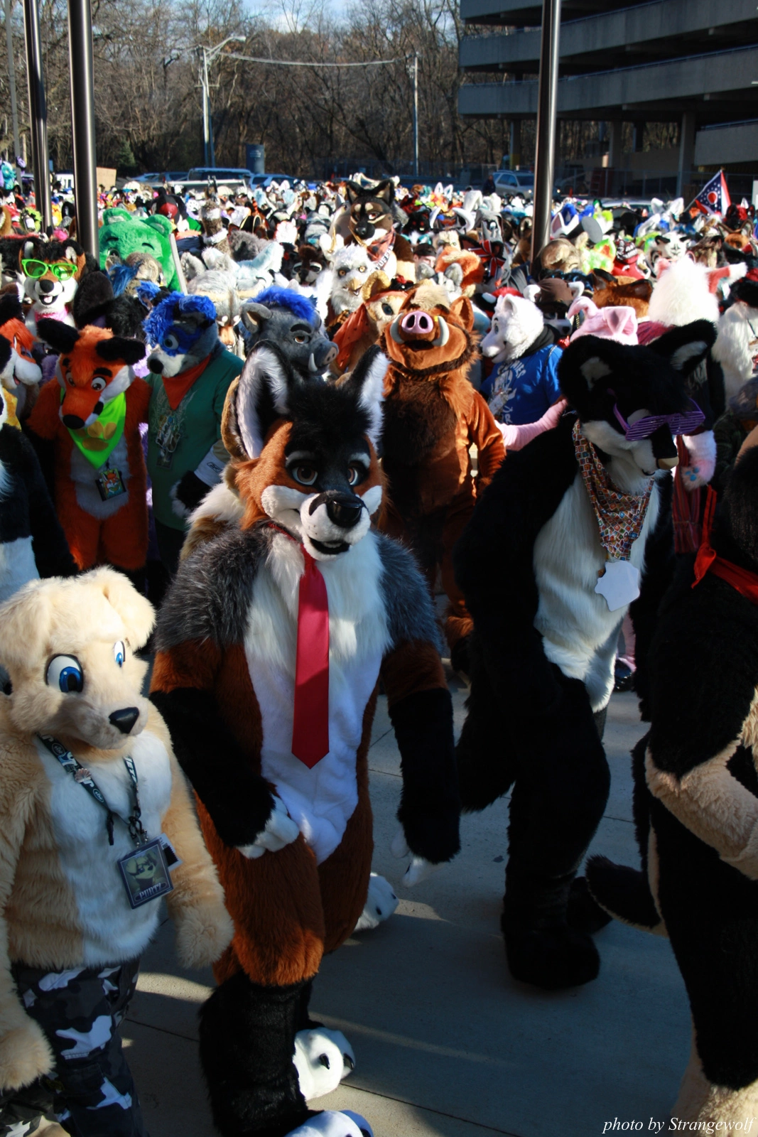 full image IMG_0663-lr.jpg