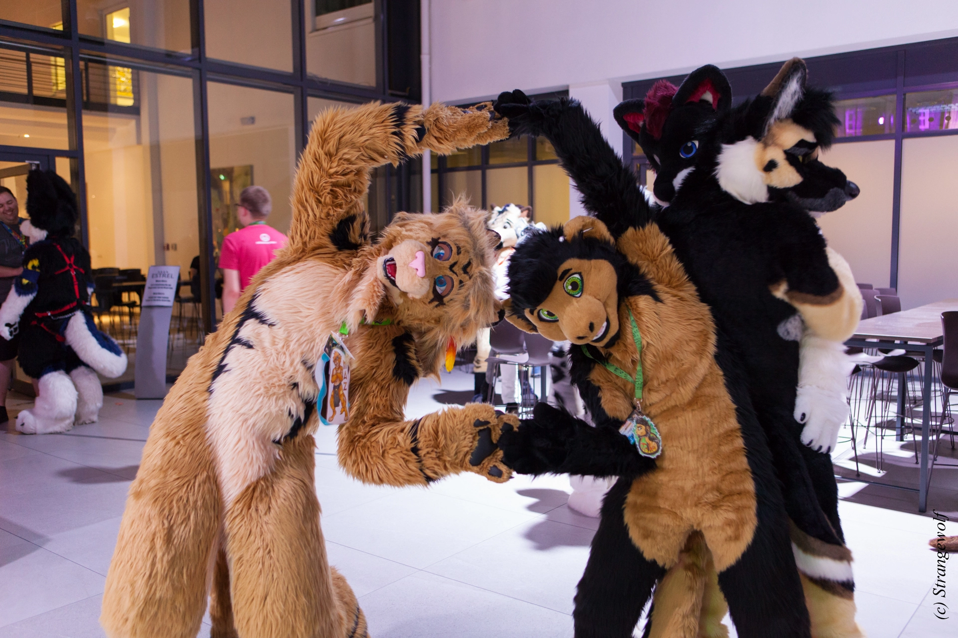 full image IMG_4882-lr19t.jpg