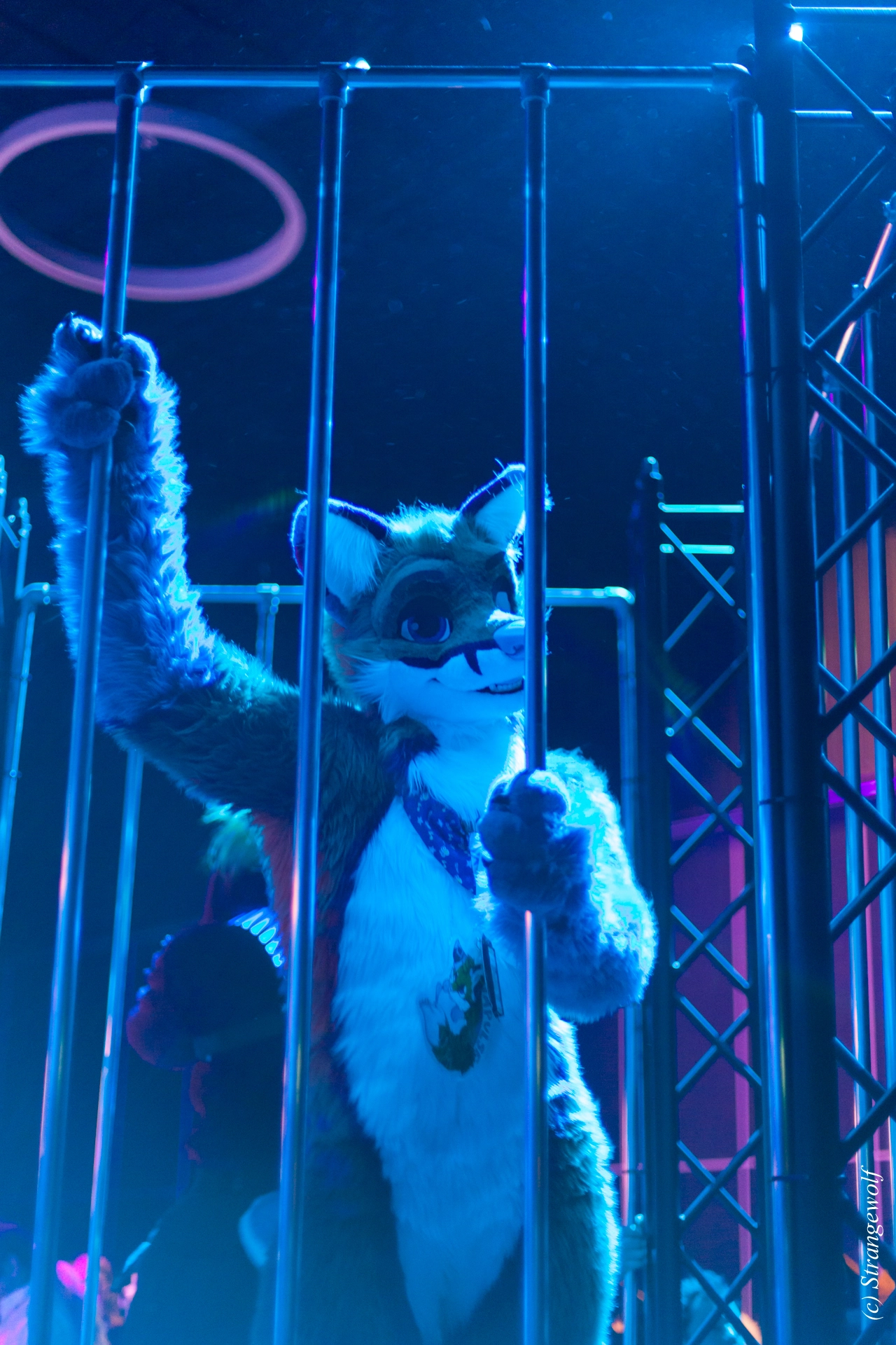 full image IMG_9266-lr19t.jpg