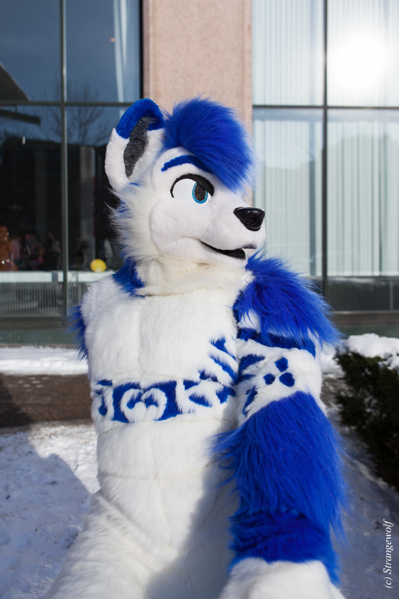 full image IMG_9758-lr19t.jpg