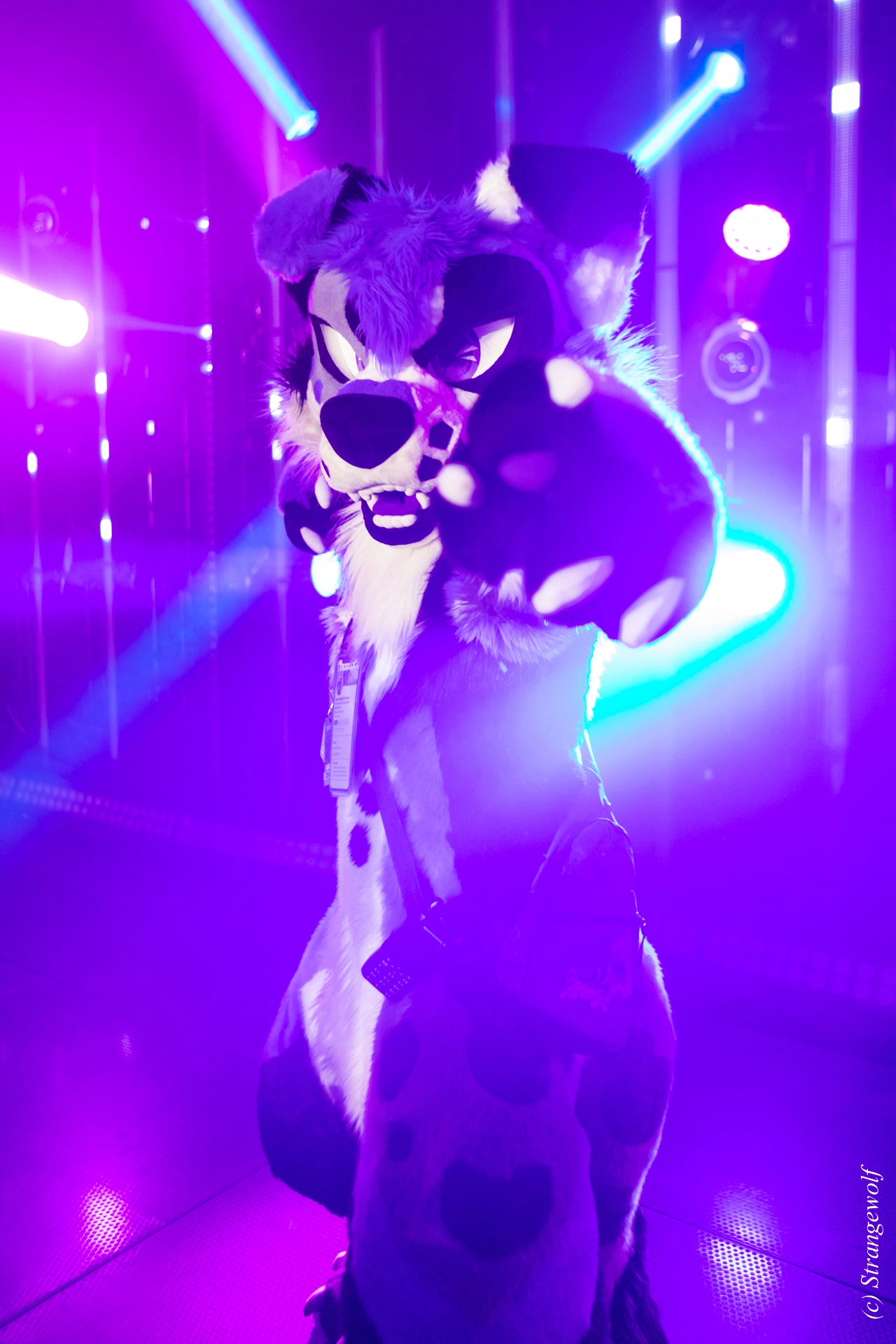 full image 1R3A5359-lr19t.jpg