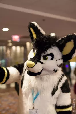 IMG_7553-lr19t.jpg of MFF/MFF2018/