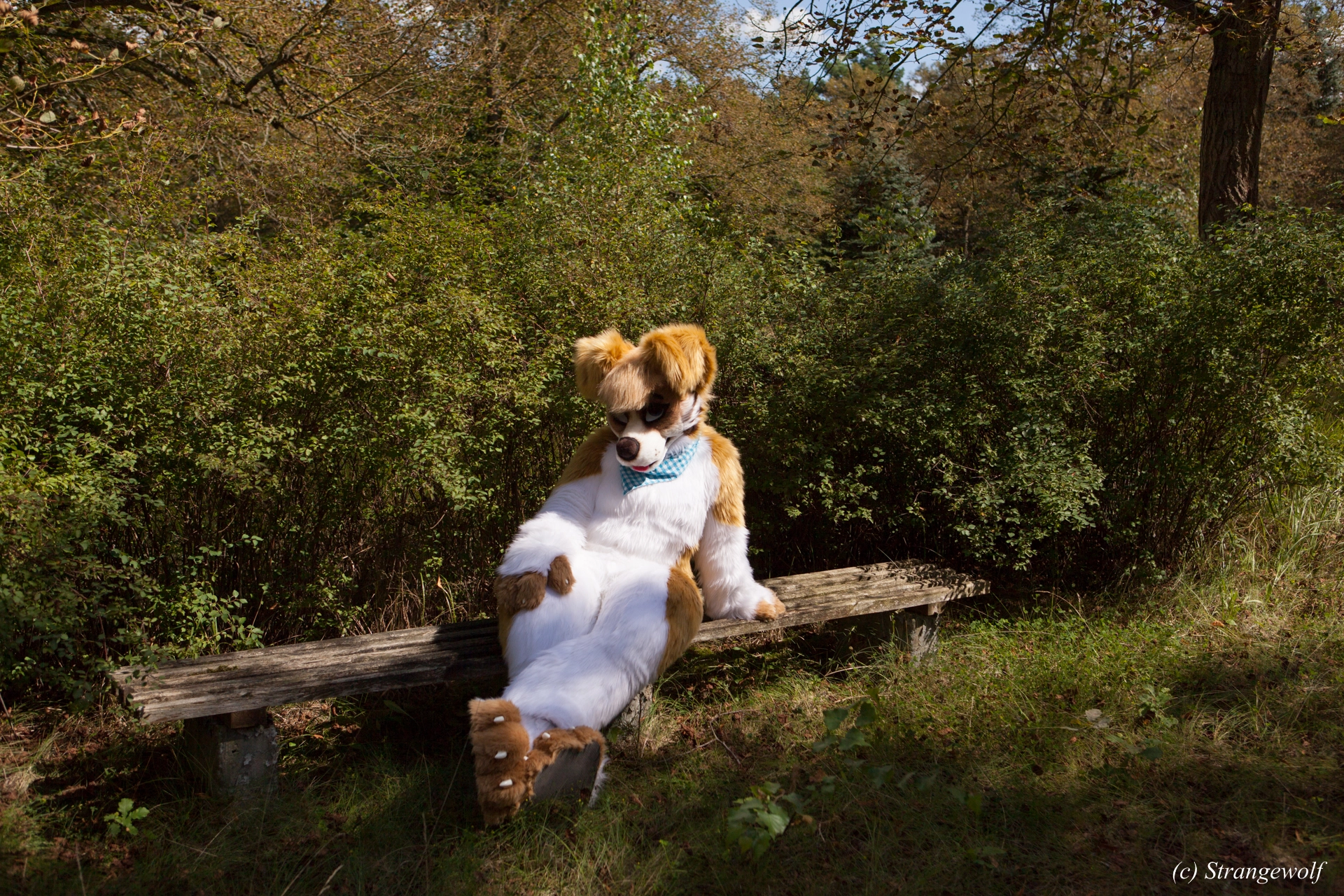 full image IMG_6135-lr19t.jpg