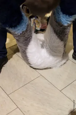 IMG_9221-lr19t.jpg of NFC/NFC2019/