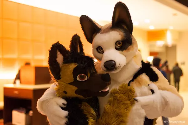 IMG_8077-lr19t.jpg of MFF/MFF2017/