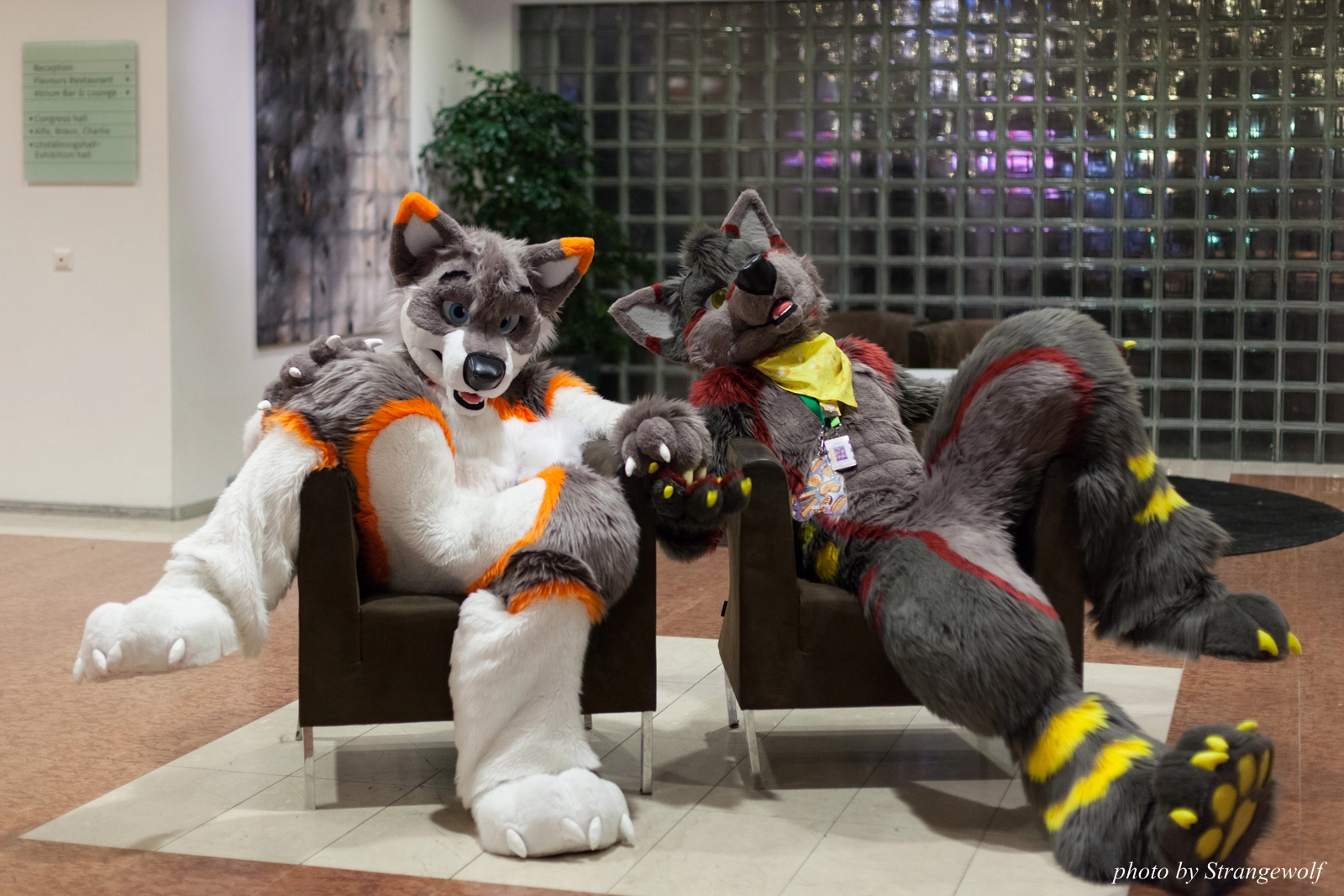 full image IMG_1624-lr16t.jpg