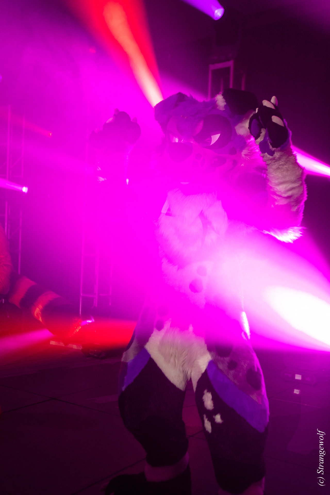 full image 1R3A0849-lr19t.jpg