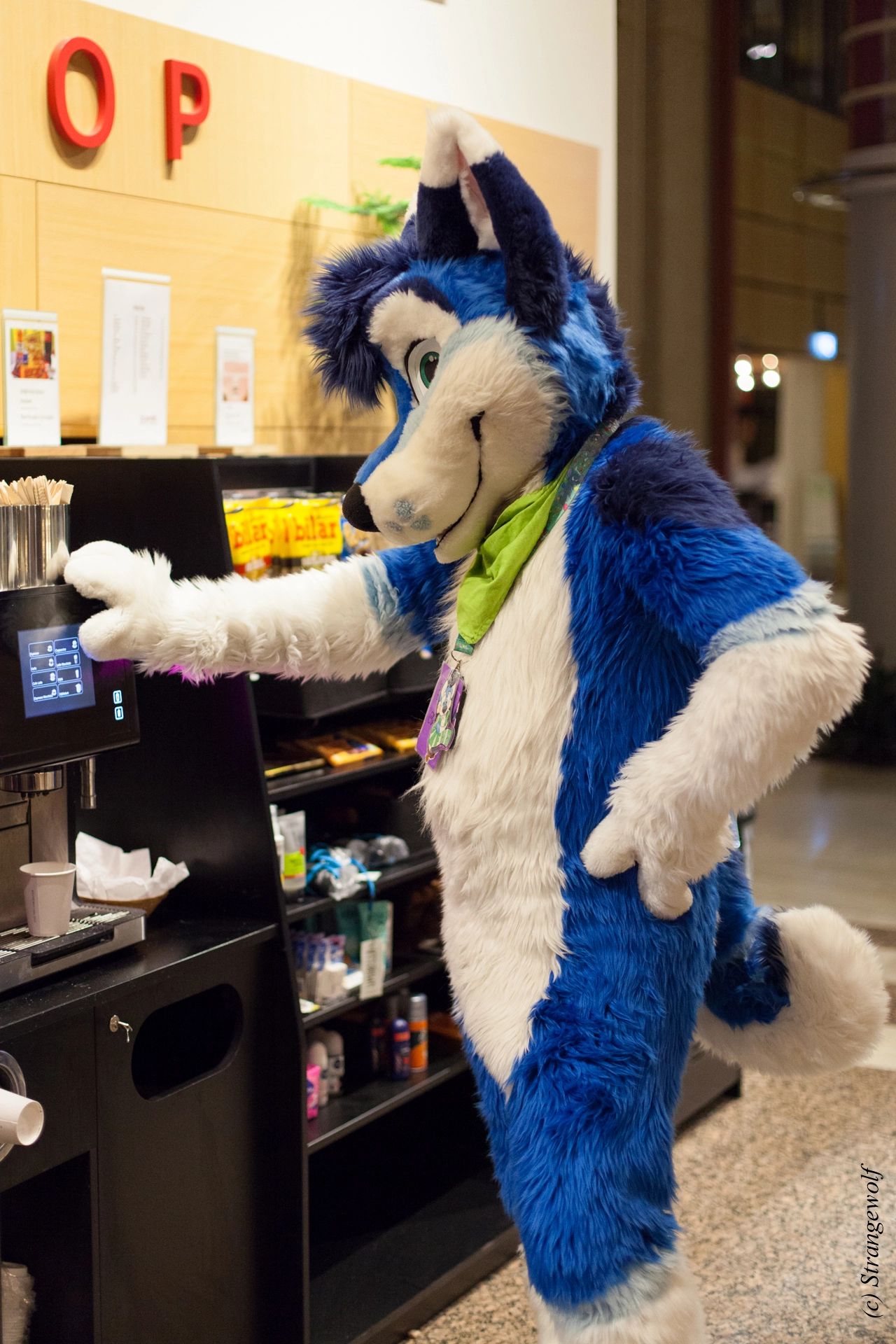 full image IMG_9012-lr19t.jpg