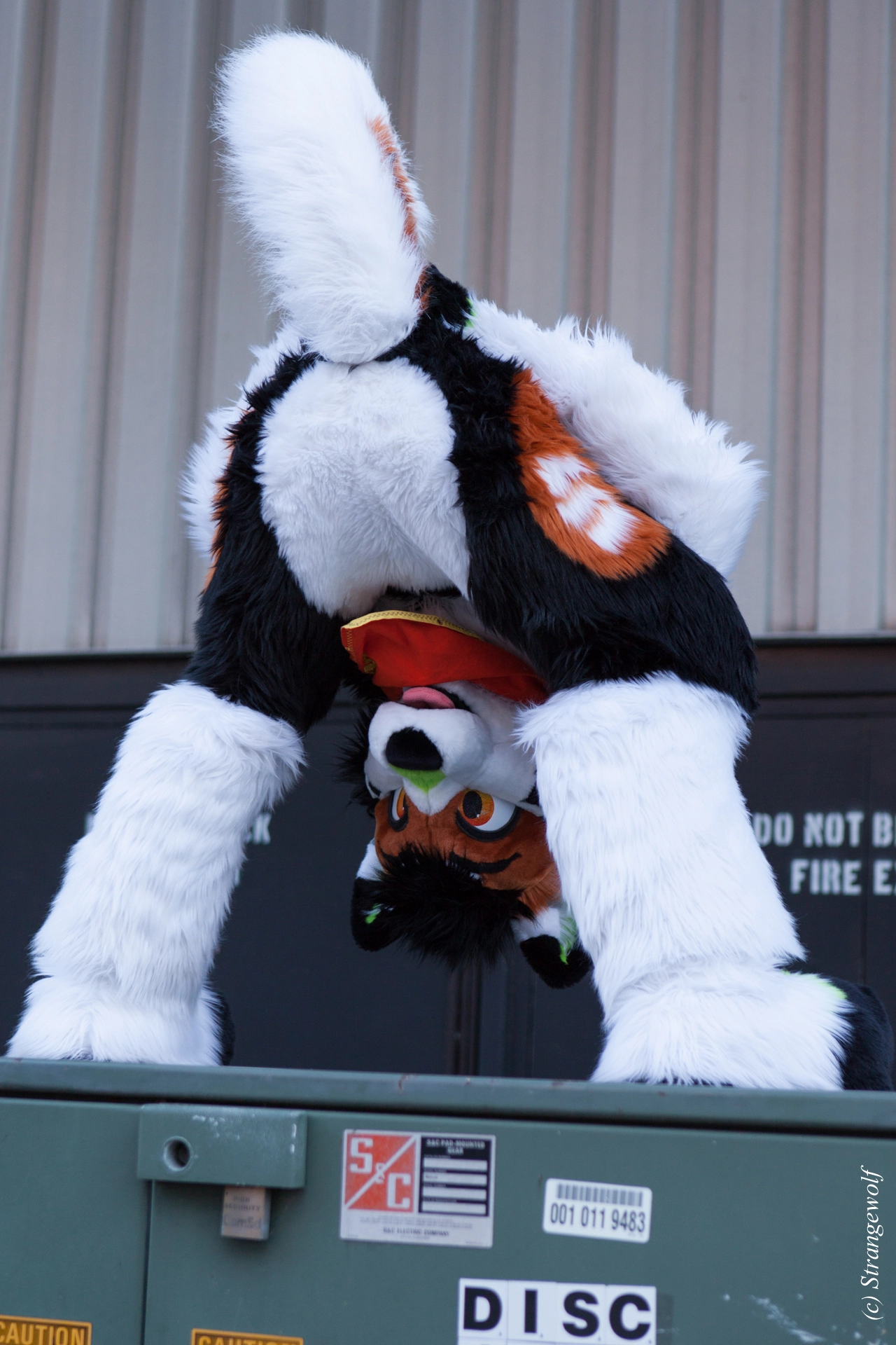 full image IMG_0996-lr19t.jpg