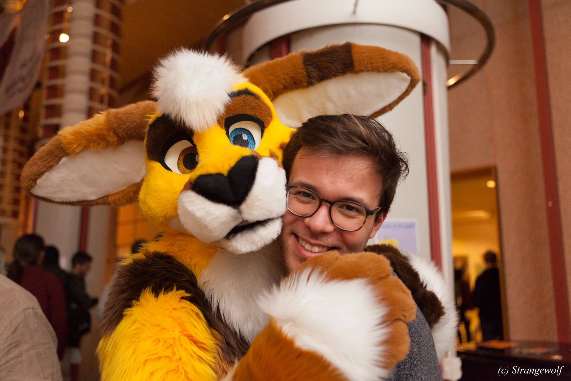 full image IMG_8938-lr19t.jpg