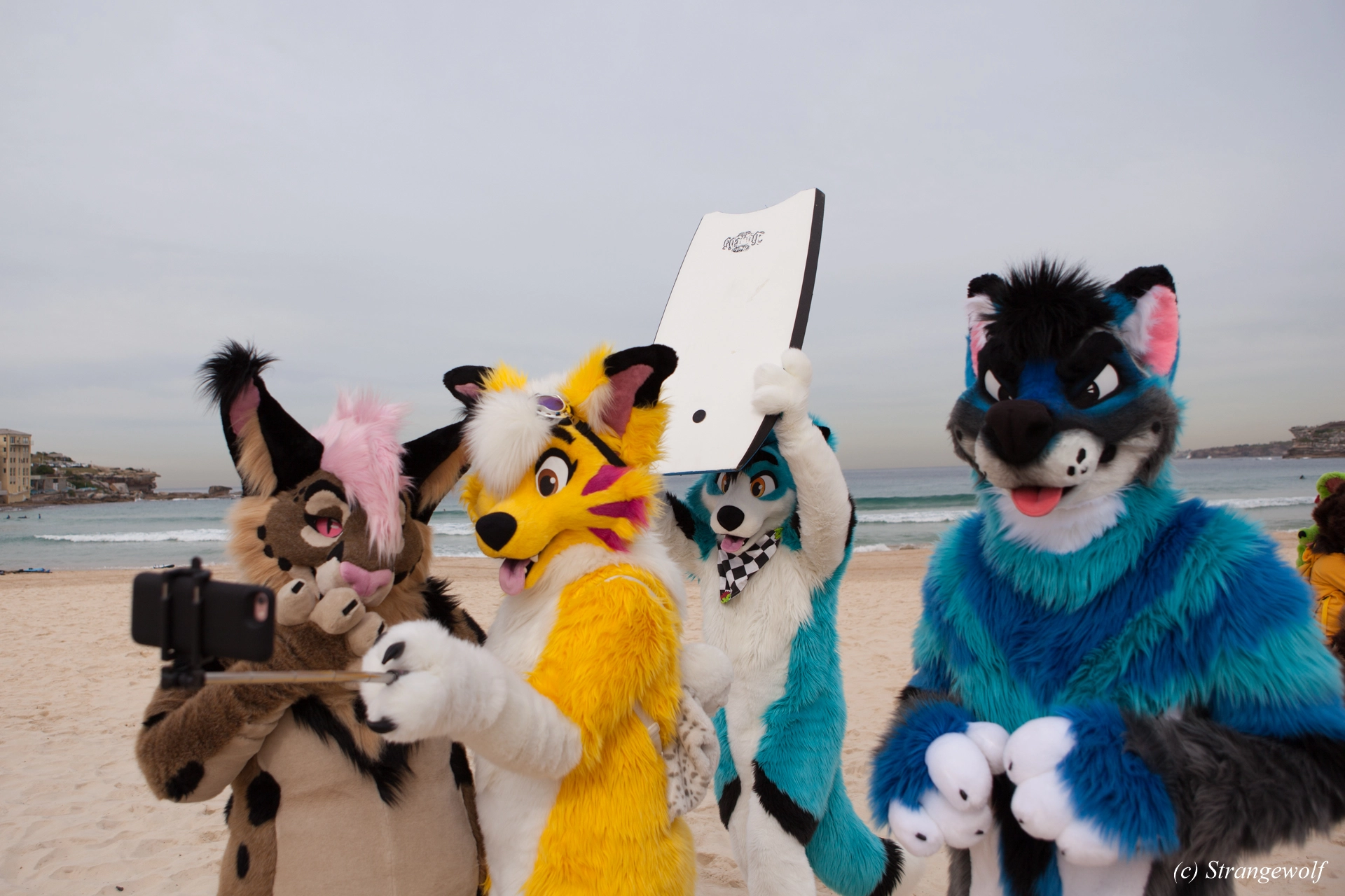 full image IMG_4487-lr19t.jpg