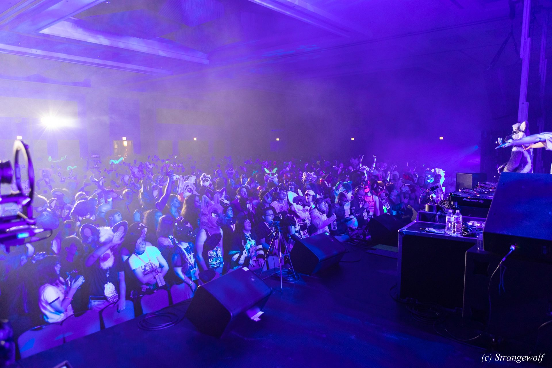 full image 1R3A4994-lr19t.jpg