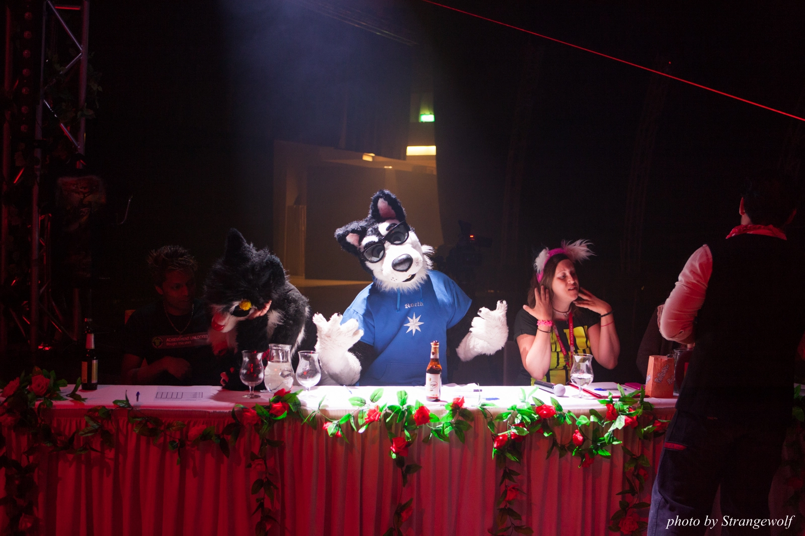 full image IMG_2342-lr16t.jpg
